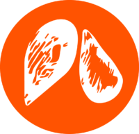 Pépins & Graines