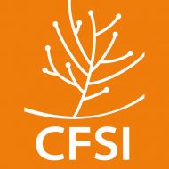 CFSI - Comité Français pour la Solidarité Internationale
